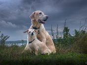 Best pals, Sophie and Stella