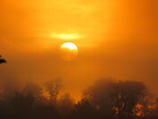 sunrise behind the fog 