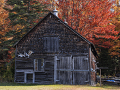 cabin in the woods