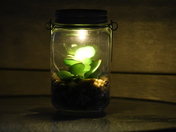 Unsolar