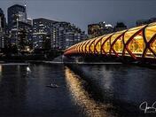Calgary City Scape  Night Lights 