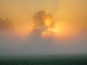 Fog an sun 