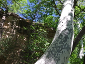 Montezuma Well National Monument