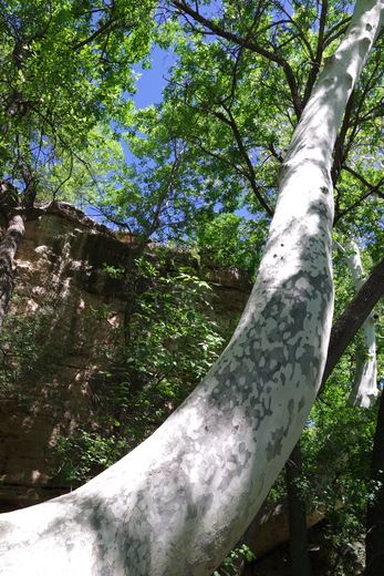 Montezuma Well National Monument