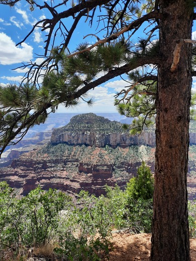Grand Canyon National Park