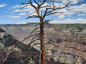 Grand Canyon National Park