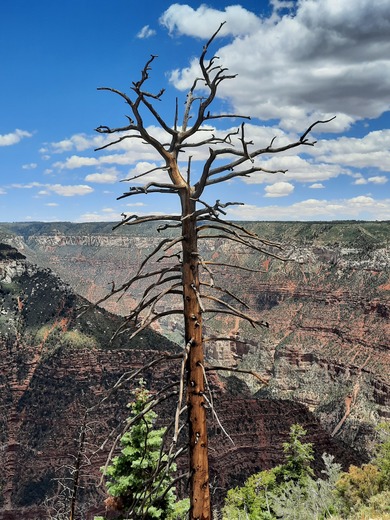 Grand Canyon National Park