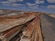 Petrified Forest National Park