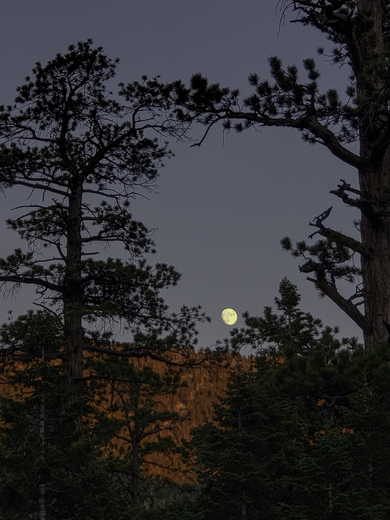 McWilliams Campground, Mt. Charleston, Nevada - Toiyabe National Forest