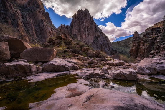 Tonto National Forest
