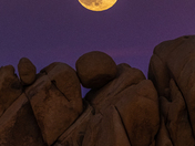Joshua Tree National Park