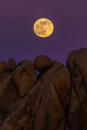 Joshua Tree National Park