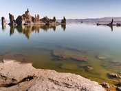 Inyo National Forest