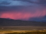 Inyo National Forest