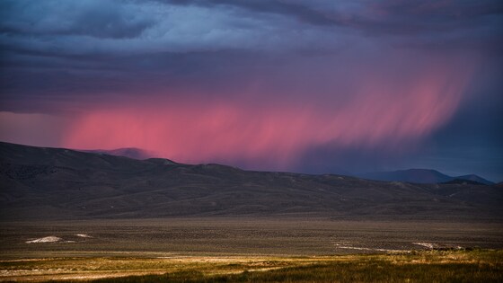 Inyo National Forest