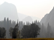 Yosemite National Park