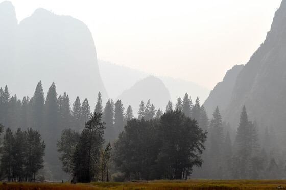 Yosemite National Park