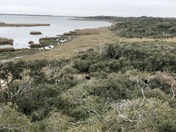 Aransas National Wildlife Refuge