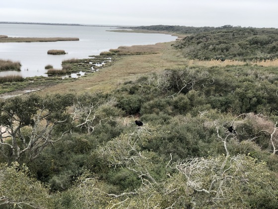 Aransas National Wildlife Refuge
