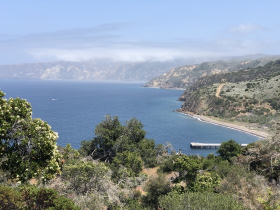 Channel Islands National Park