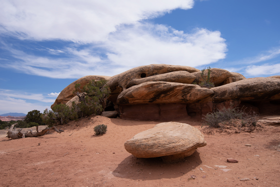 Canyonlands National Park the Needles District
