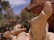 The Needles District Canyonlands National Park