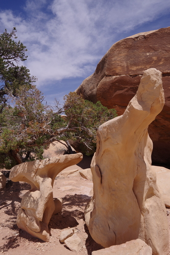The Needles District Canyonlands National Park