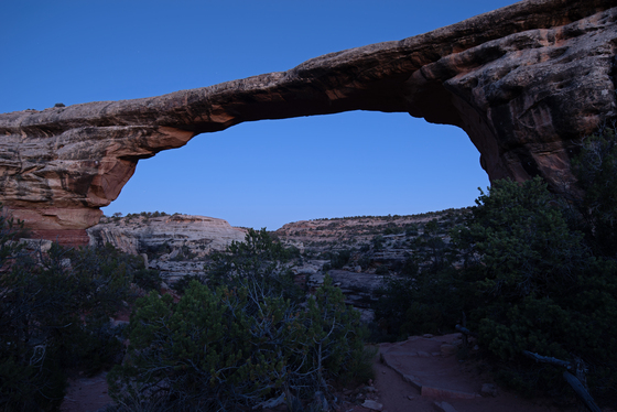 Natural Bridges National Monument