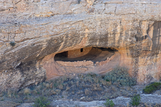 Natural Bridges National Monument