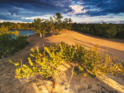 Sandbanks Provincial Park