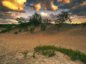 Sandbanks Provincial Park
