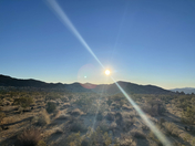 Joshua Tree National Park