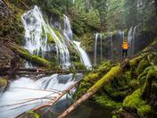 Gifford Pinchot National Forest 