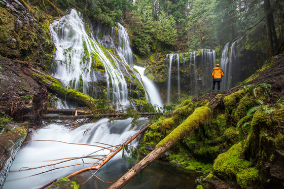 Gifford Pinchot National Forest 