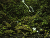 Olympic National Park