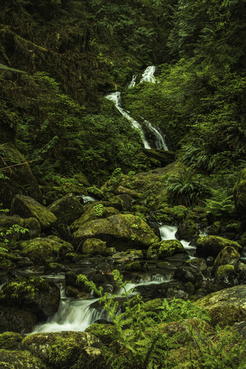 Olympic National Park