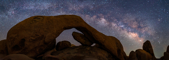 Joshua Tree National Park