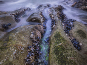 Olympic National Park