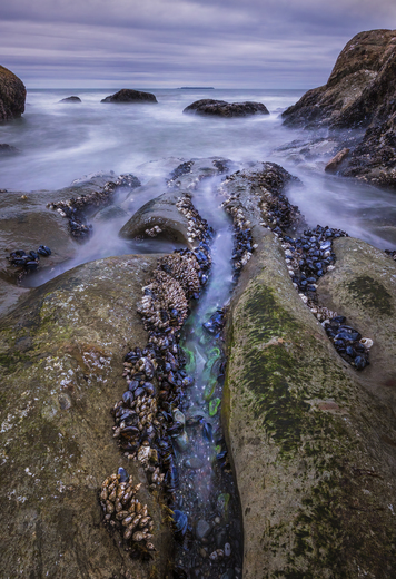 Olympic National Park