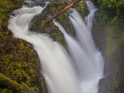 Olympic National Park