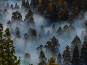 Sequoia National Park