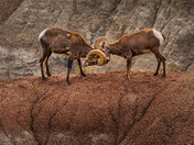 Badlands National Park