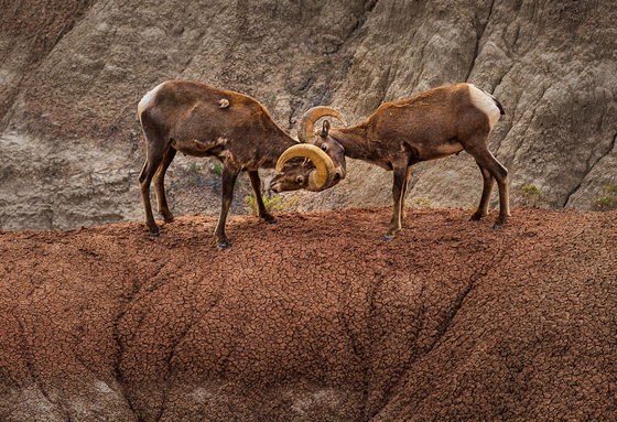 Badlands National Park