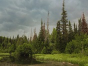 Wasatch National Forest
