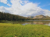 Uinta National Forest