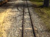 Follow Your Own Path 