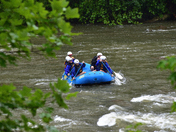 Cherokee National Forest