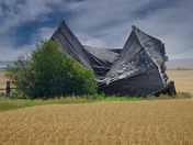 “I’m Still Here” 