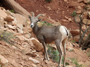 Colorado National Monument