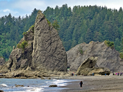 Olympic National Park